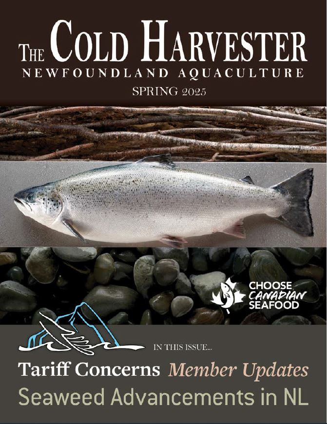 CH Spring Cover.JPG